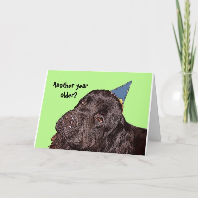 Tarjeta de cumpleaños de perro de Terranova (Anverso)