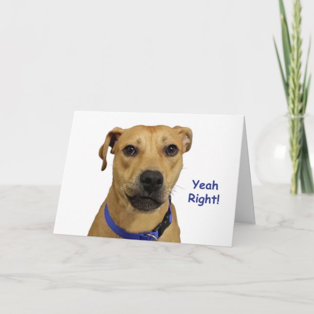 Tarjeta de cumpleaños de perro derecho Sí (Anverso)