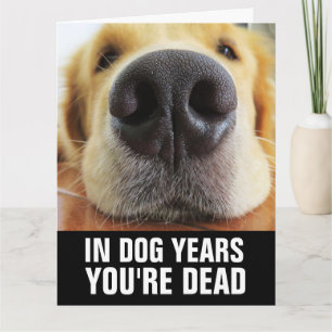 TARJETA DE CUMPLEAÑOS DE PERRO DIVERTIDA