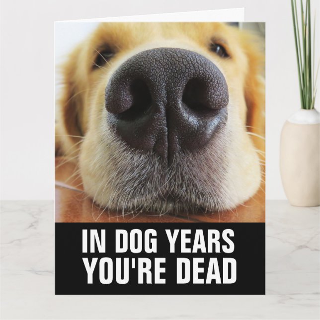 TARJETA DE CUMPLEAÑOS DE PERRO DIVERTIDA (Anverso)