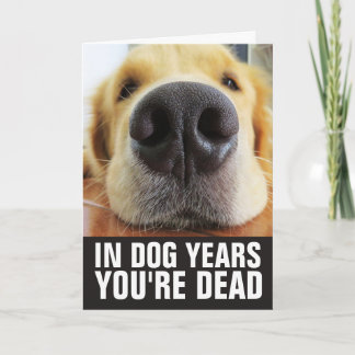 TARJETA DE CUMPLEAÑOS DE PERRO, EN AÑOS DE PERRO E
