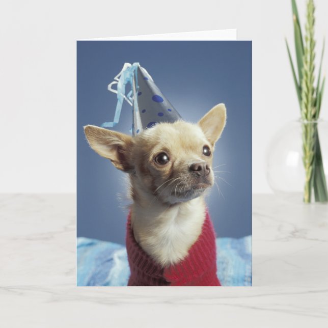Tarjeta de cumpleaños de perro fiesta (Anverso)