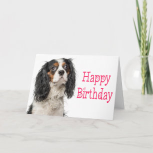 Tarjeta de cumpleaños de perro King Charles Cavali