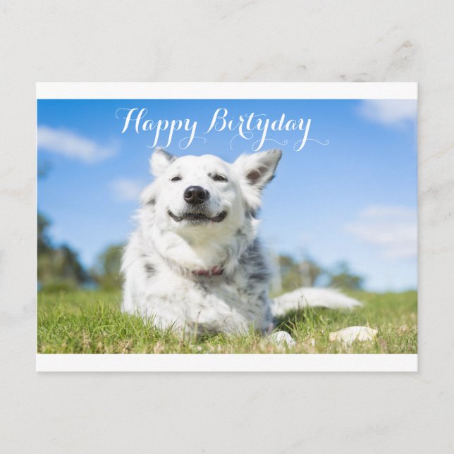 tarjeta de cumpleaños de perro, personalizable (Anverso)