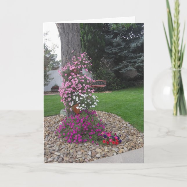 Tarjeta de cumpleaños de Petunias (Anverso)