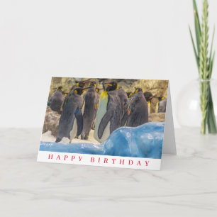 Tarjeta de cumpleaños de pingüinos en el zoológico