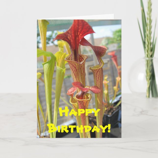 Tarjeta de cumpleaños de planta carnívora (Anverso)