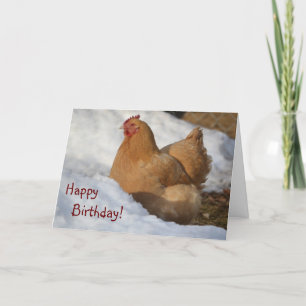 Tarjeta De Cumpleaños De Pollo En Nieve