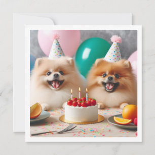 Tarjeta de cumpleaños de Pomerania, Pomerania, Pom