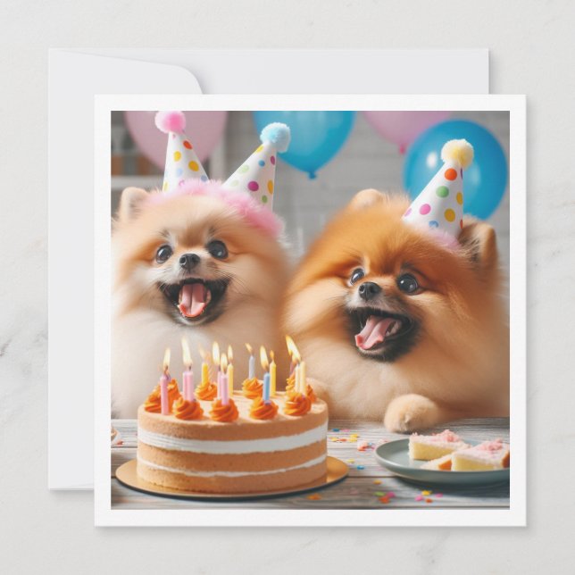 Tarjeta de cumpleaños de Pomerania, Pomerania, Pom (Anverso)