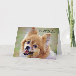 Tarjeta de cumpleaños de Pomerania sonriente