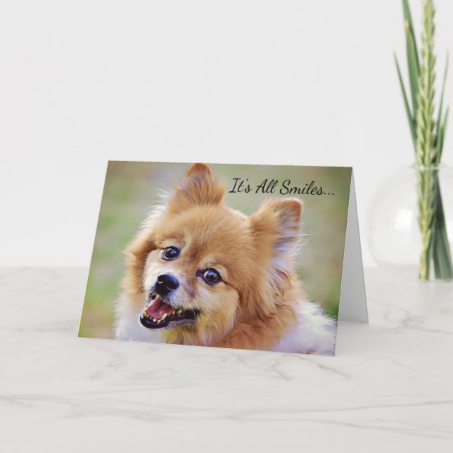 Tarjeta de cumpleaños de Pomerania sonriente (Anverso)