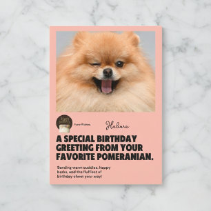 Tarjeta de cumpleaños de Pomerania Winking