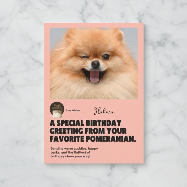Tarjeta de cumpleaños de Pomerania Winking (Send a wink and a smile today.)