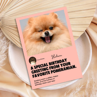 Tarjeta de cumpleaños de Pomerania Winking