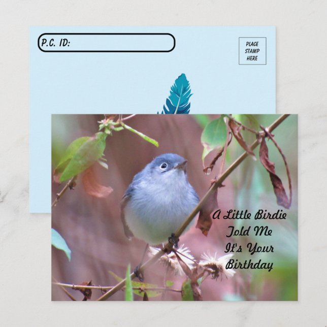 Tarjeta de cumpleaños de Postcrossing Little Birdi (Anverso / Reverso)