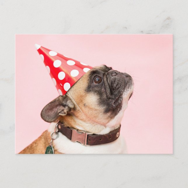 Tarjeta de cumpleaños de Pug (Anverso)