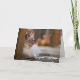 Tarjeta de cumpleaños de Ragdoll