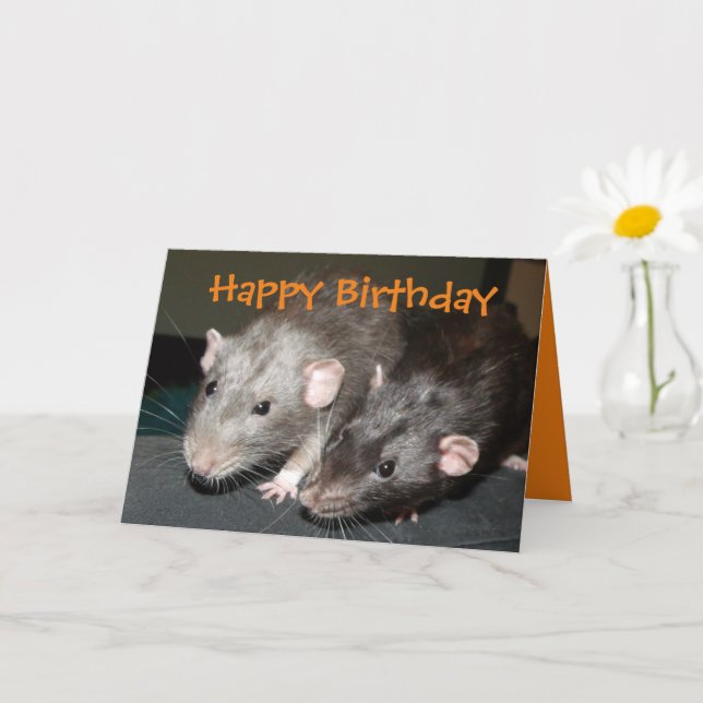 Tarjeta de cumpleaños de ratas Cheeky Dumbo (Planta pequeña)