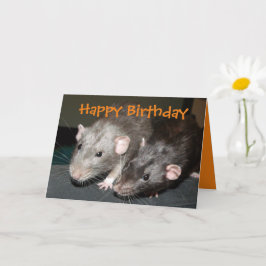 Tarjeta de cumpleaños de ratas Cheeky Dumbo