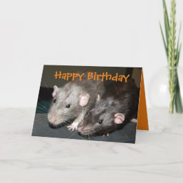 Tarjeta de cumpleaños de ratas Cheeky Dumbo