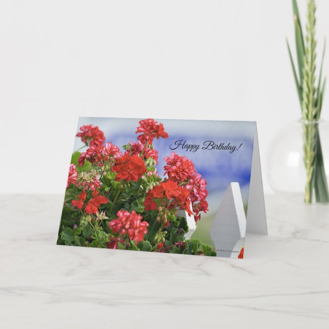 Tarjeta de cumpleaños de Red Geraniums (Anverso)