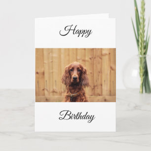 Tarjeta de cumpleaños de Red Setter Irlandés