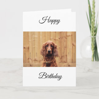 Tarjeta de cumpleaños de Red Setter Irlandés