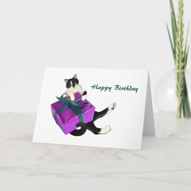 Tarjeta de cumpleaños de regalo para gato blanco y (Anverso)