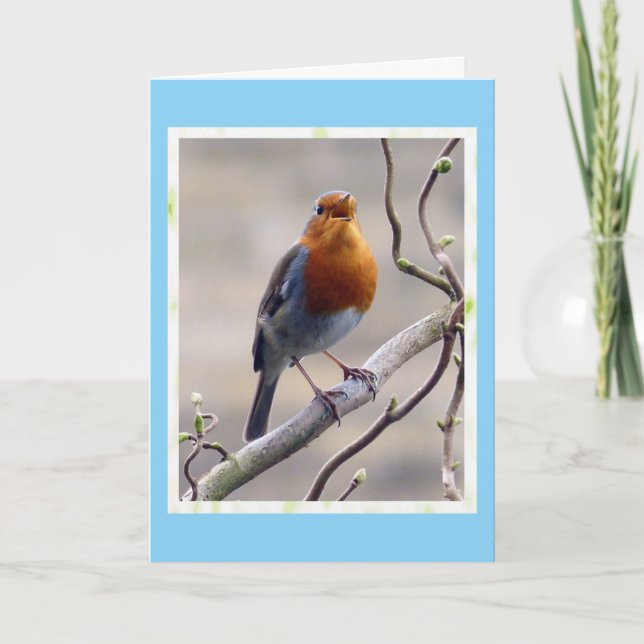 Tarjeta de cumpleaños de Robin (Anverso)