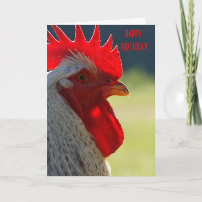 Tarjeta de cumpleaños de Rooster (Anverso)