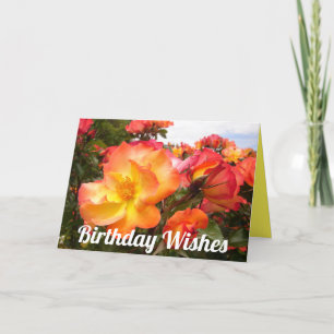 Tarjeta de cumpleaños de Rosas Rosas de Naranja ro