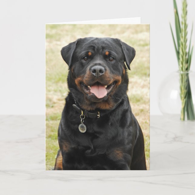 Tarjeta de cumpleaños de Rottweiler (Anverso)