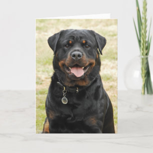 Tarjeta de cumpleaños de Rottweiler