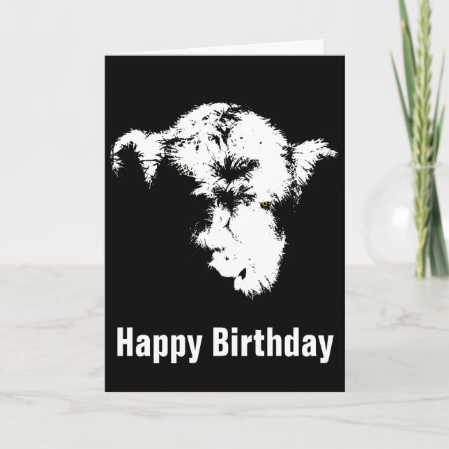 Tarjeta de cumpleaños de Scary Highland Calf Pop A (Anverso)