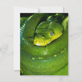 Tarjeta de cumpleaños de serpiente Snake Feliz cum
