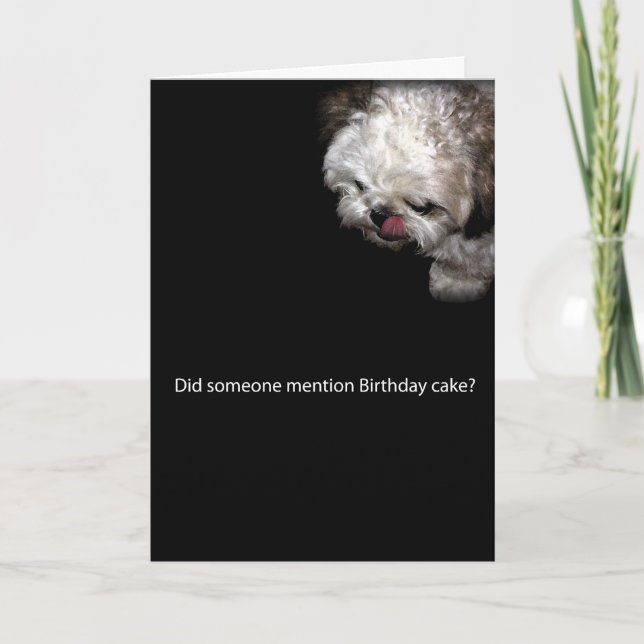 Tarjeta de cumpleaños de Shih-Tzu (Anverso)
