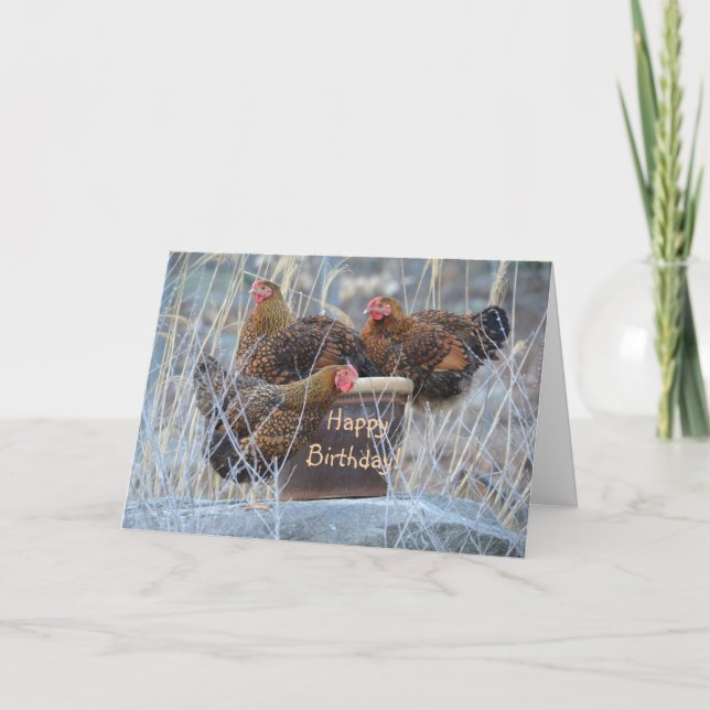 Tarjeta de cumpleaños de Silly Chickens (Anverso)