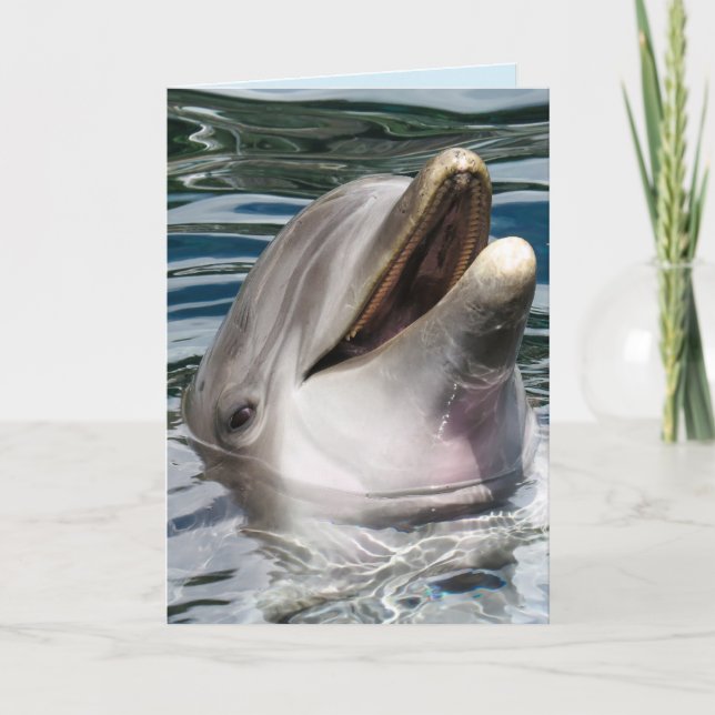 TARJETA DE CUMPLEAÑOS DE SONIDO DE DOLPHIN FOTOGRA (Anverso)
