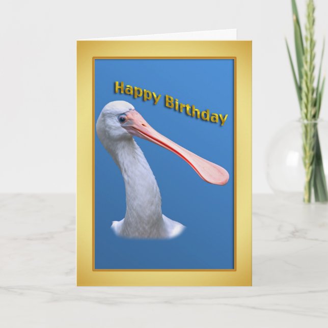 Tarjeta de cumpleaños de Spoonbill humorística (Anverso)