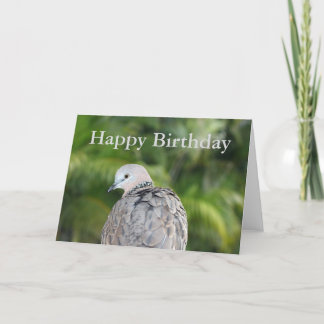 Tarjeta de cumpleaños de Spots Dove