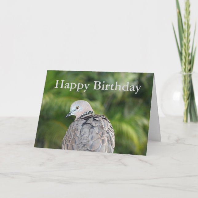 Tarjeta de cumpleaños de Spots Dove (Anverso)