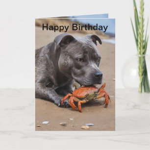 Tarjeta de cumpleaños de Staffy amigo de un cangre