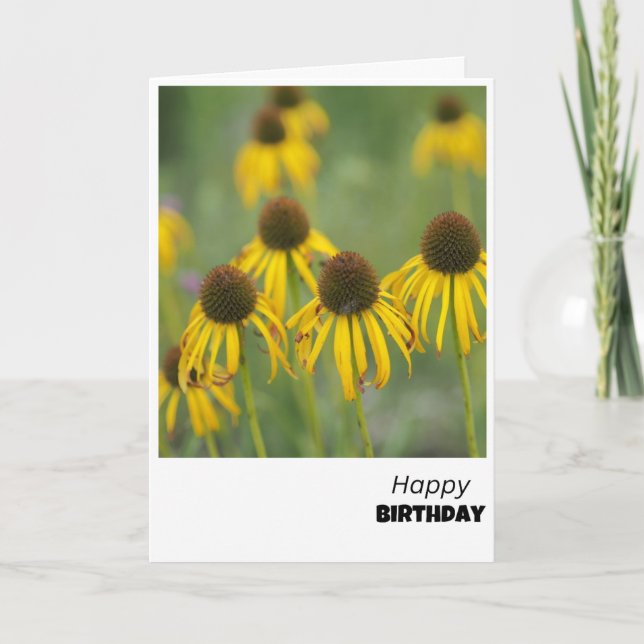 Tarjeta de cumpleaños de Sunny Coneflowers (Anverso)
