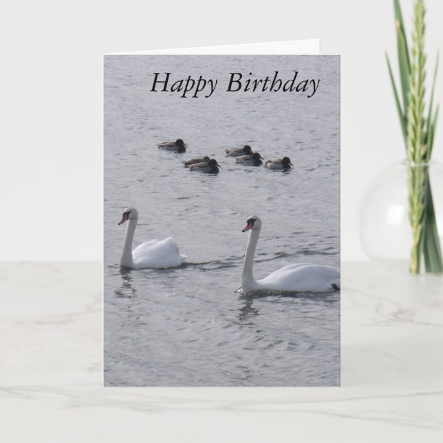 Tarjeta de cumpleaños de Swans (Anverso)