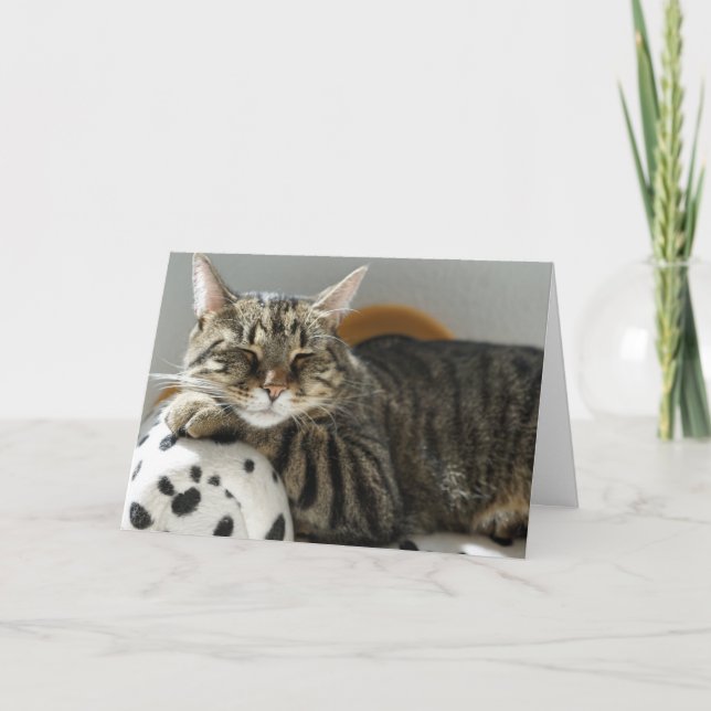 TARJETA DE CUMPLEAÑOS DE TABBY CAT "CHILL" PARA CU (Anverso)