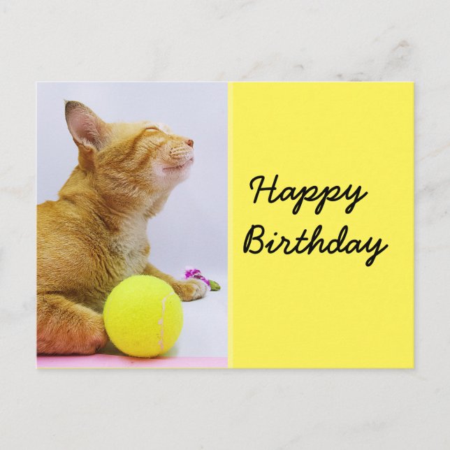 Tarjeta de cumpleaños de tenis con ginger cat y bo (Anverso)