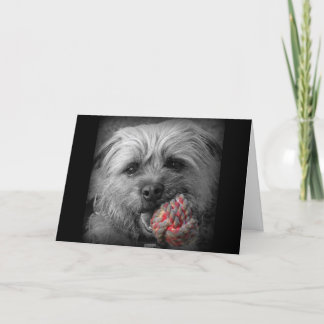 Tarjeta de cumpleaños de Terrier de frontera