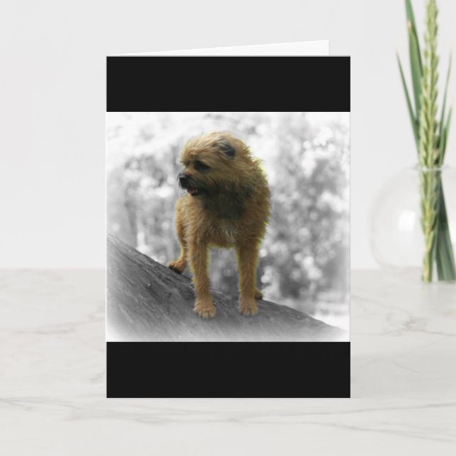 Tarjeta de cumpleaños de Terrier de frontera (Anverso)
