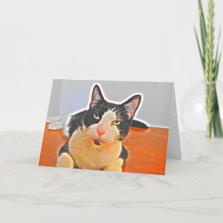 Tarjeta de cumpleaños de Testy Tuxedo Cat